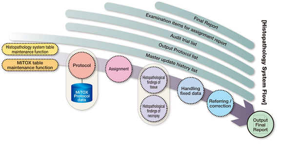 HISTOPATHOLOGY SYSTEM