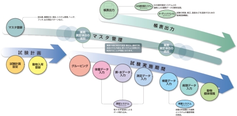 探索毒性試験システム概念図